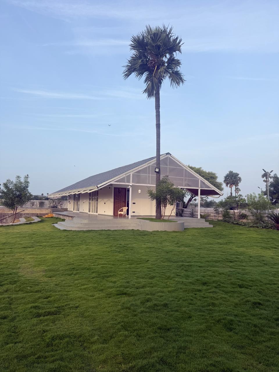 Farmhouse and palm tree across the open lawn