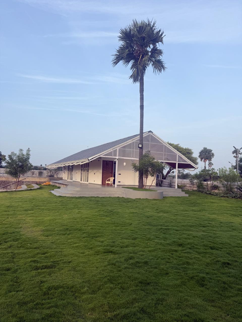 Farmhouse framed by a palm tree, viewed across the lawn