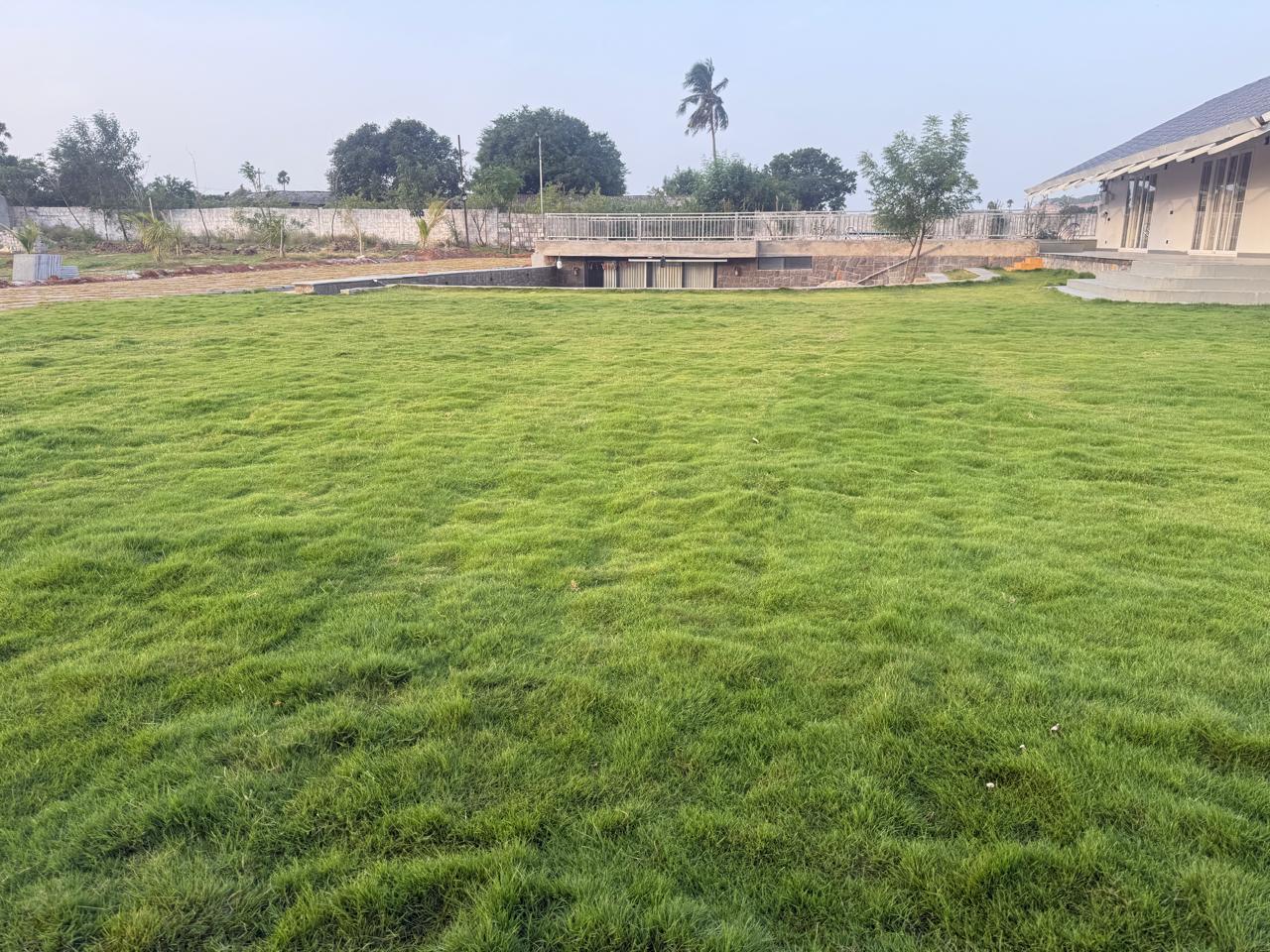 Wide view of the lawn and the sunken stone wing beyond