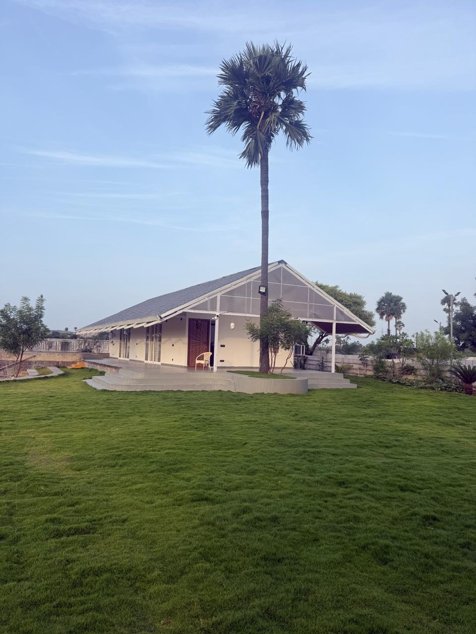 Farmhouse and tall palm tree at dawn